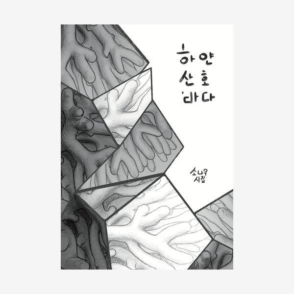 하얀 산호 바다